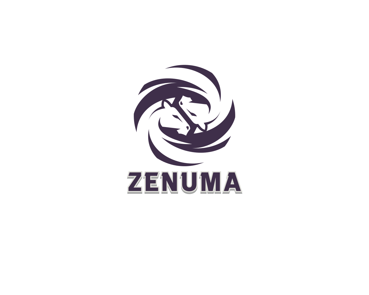 Zenuma Bits